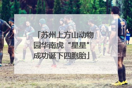 苏州上方山动物园华南虎“星星”成功诞下四胞胎