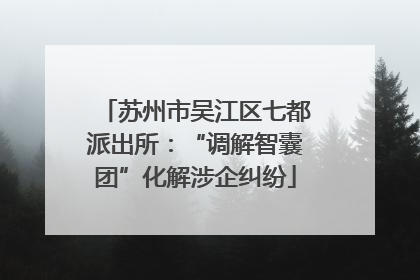 苏州市吴江区七都派出所：“调解智囊团”化解涉企纠纷