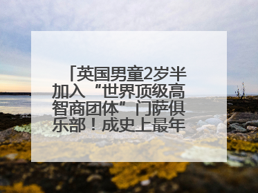 英国男童2岁半加入“世界顶级高智商团体”门萨俱乐部！成史上最年轻男性会员