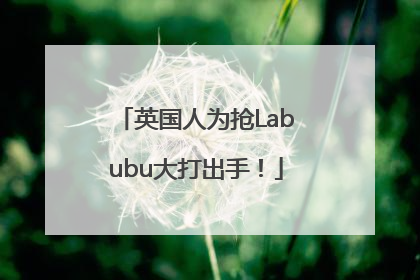英国人为抢Labubu大打出手！