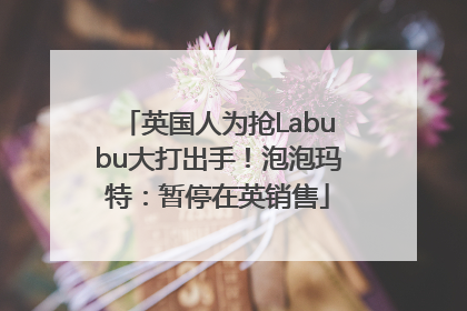 英国人为抢Labubu大打出手！泡泡玛特：暂停在英销售