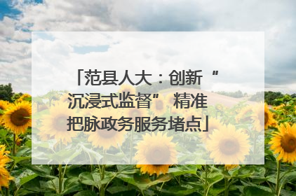 范县人大：创新“沉浸式监督” 精准把脉政务服务堵点