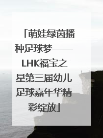 萌娃绿茵播种足球梦——LHK福宝之星第三届幼儿足球嘉年华精彩绽放