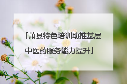 萧县特色培训助推基层中医药服务能力提升