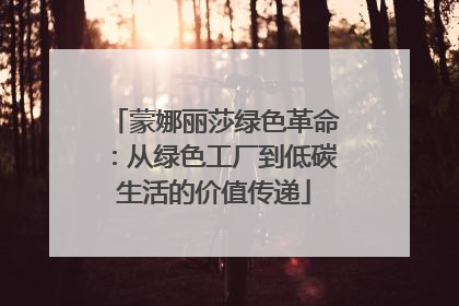 蒙娜丽莎绿色革命：从绿色工厂到低碳生活的价值传递