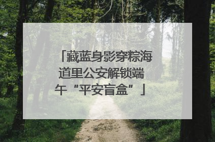 藏蓝身影穿粽海 道里公安解锁端午“平安盲盒”