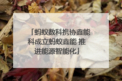 蚂蚁数科携协鑫能科成立蚂蚁鑫能 推进能源智能化