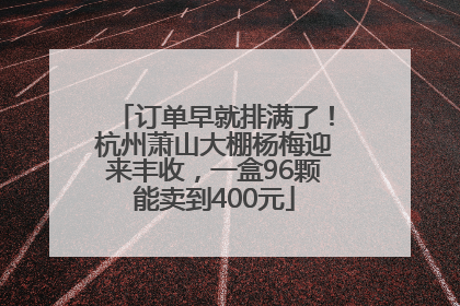 订单早就排满了！杭州萧山大棚杨梅迎来丰收，一盒96颗能卖到400元