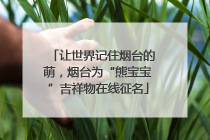 让世界记住烟台的萌，烟台为“熊宝宝”吉祥物在线征名