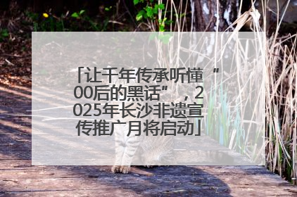 让千年传承听懂“00后的黑话”，2025年长沙非遗宣传推广月将启动