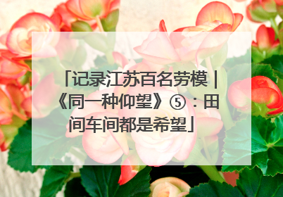 记录江苏百名劳模｜《同一种仰望》⑤：田间车间都是希望
