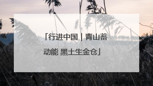 行进中国｜青山蓄动能 黑土生金仓