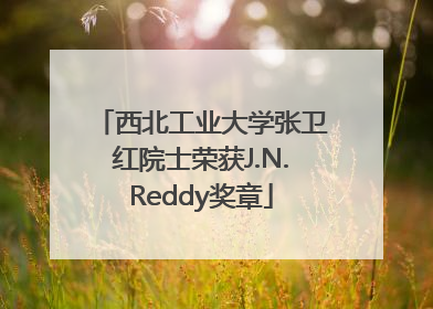 西北工业大学张卫红院士荣获J.N.Reddy奖章