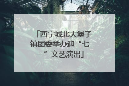 西宁城北大堡子镇团委举办迎“七一”文艺演出