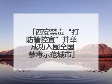 西安禁毒“打防管控宣”并举 成功入围全国禁毒示范城市