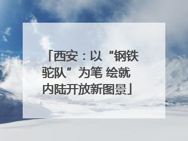 西安：以“钢铁驼队”为笔 绘就内陆开放新图景
