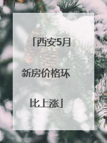 西安5月新房价格环比上涨