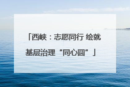 西峡：志愿同行 绘就基层治理“同心圆”