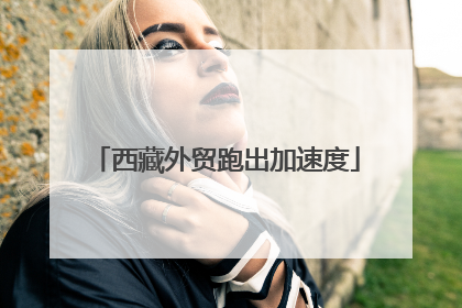 西藏外贸跑出加速度