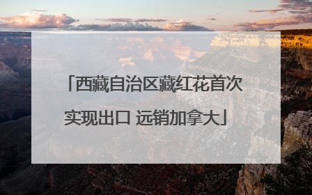 西藏自治区藏红花首次实现出口 远销加拿大