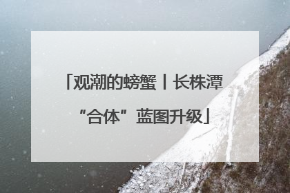 观潮的螃蟹丨长株潭“合体”蓝图升级