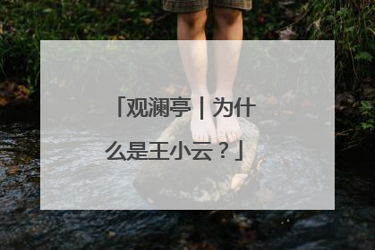 观澜亭｜为什么是王小云？