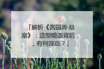 解析《酱园弄·悬案》：造型暗语背后，有何深意？
