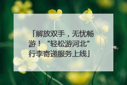 解放双手，无忧畅游！“轻松游河北”行李寄递服务上线