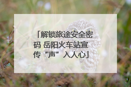 解锁旅途安全密码 岳阳火车站宣传“声”入人心