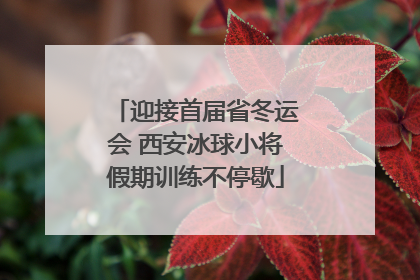 迎接首届省冬运会 西安冰球小将假期训练不停歇
