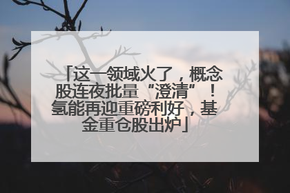 这一领域火了，概念股连夜批量“澄清”！氢能再迎重磅利好，基金重仓股出炉