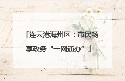 连云港海州区：市民畅享政务“一网通办”