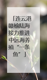 连云港赣榆陆海接力推进中远海养殖“一条鱼”