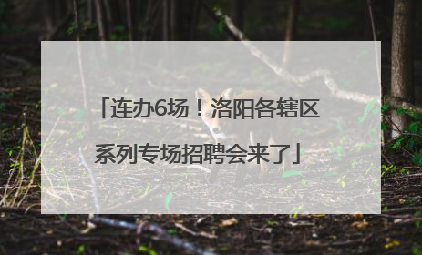 连办6场！洛阳各辖区系列专场招聘会来了