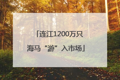 连江1200万只海马“游”入市场