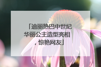 迪丽热巴中世纪华丽公主造型亮相，惊艳网友