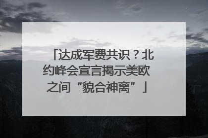达成军费共识？北约峰会宣言揭示美欧之间“貌合神离”