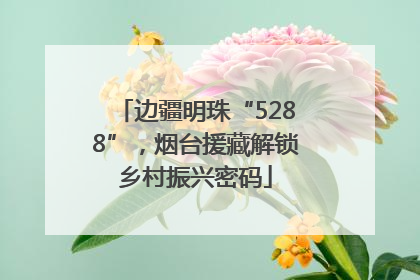 边疆明珠“5288”，烟台援藏解锁乡村振兴密码