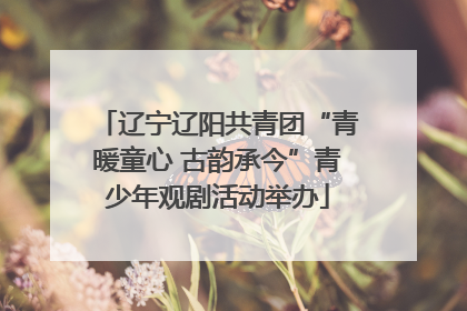 辽宁辽阳共青团“青暖童心 古韵承今”青少年观剧活动举办