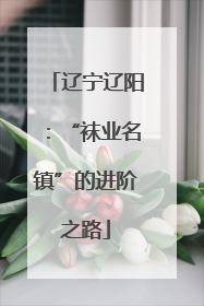 辽宁辽阳：“袜业名镇”的进阶之路