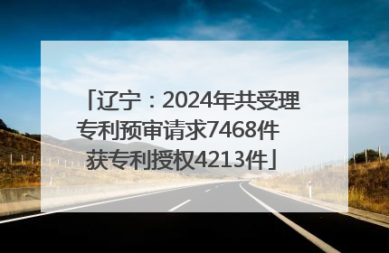 辽宁：2024年共受理专利预审请求7468件 获专利授权4213件