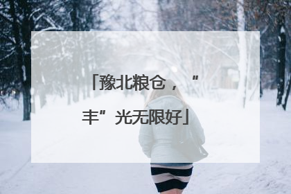 豫北粮仓，“丰”光无限好