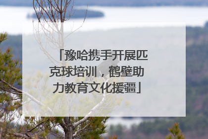 豫哈携手开展匹克球培训，鹤壁助力教育文化援疆