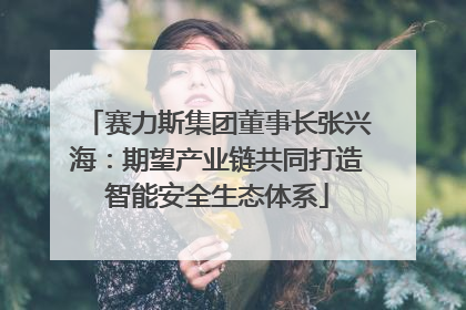 赛力斯集团董事长张兴海：期望产业链共同打造智能安全生态体系