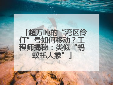 超万吨的“湾区伶仃”号如何移动？工程师揭秘：类似“蚂蚁托大象”