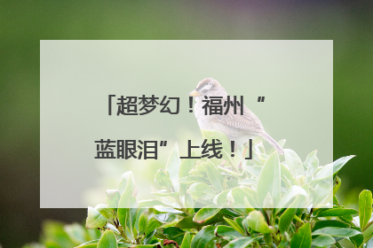 超梦幻！福州“蓝眼泪”上线！