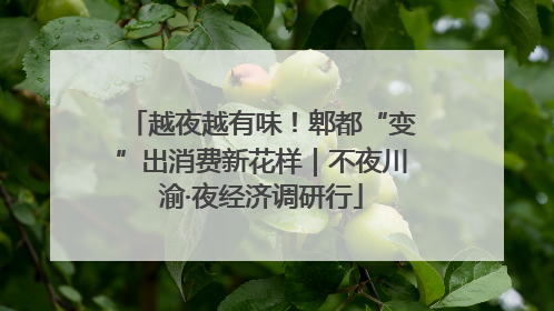 越夜越有味！郫都“变”出消费新花样｜不夜川渝·夜经济调研行
