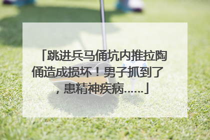 跳进兵马俑坑内推拉陶俑造成损坏！男子抓到了，患精神疾病……