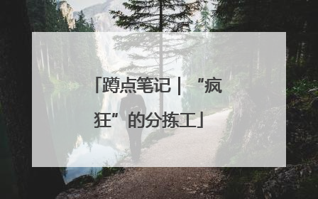 蹲点笔记｜“疯狂”的分拣工