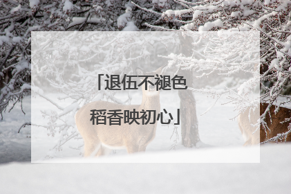 退伍不褪色 稻香映初心